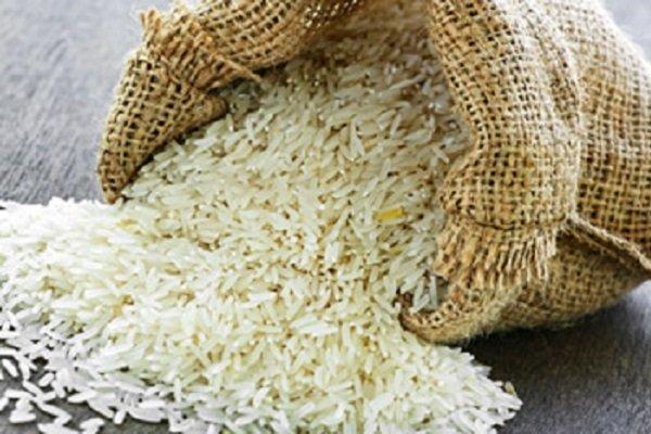 خرید توافقی برنج از کشاورزان گیلانی شروع شد
