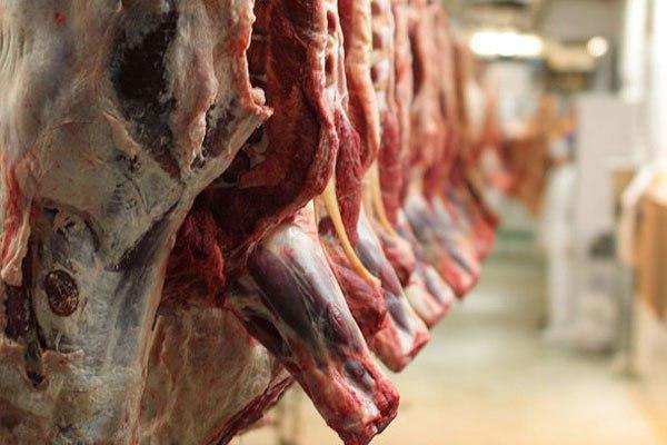 قیمت گوشت باید متعادل گردد