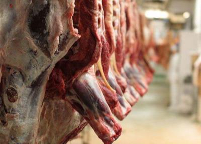 قیمت گوشت باید متعادل گردد