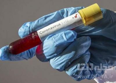 آیا ویروس کرونا از مردان بیشتر تلفات می گیرد؟