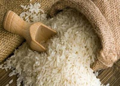 شروع واردات برنج از ابتدای آذرماه، دبیر انجمن واردکنندگان: قیمت کاهش می باید