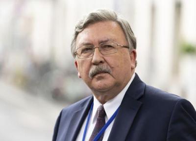 اولیانوف: اتحادیه اروپا خودکشی سیاسی می نماید